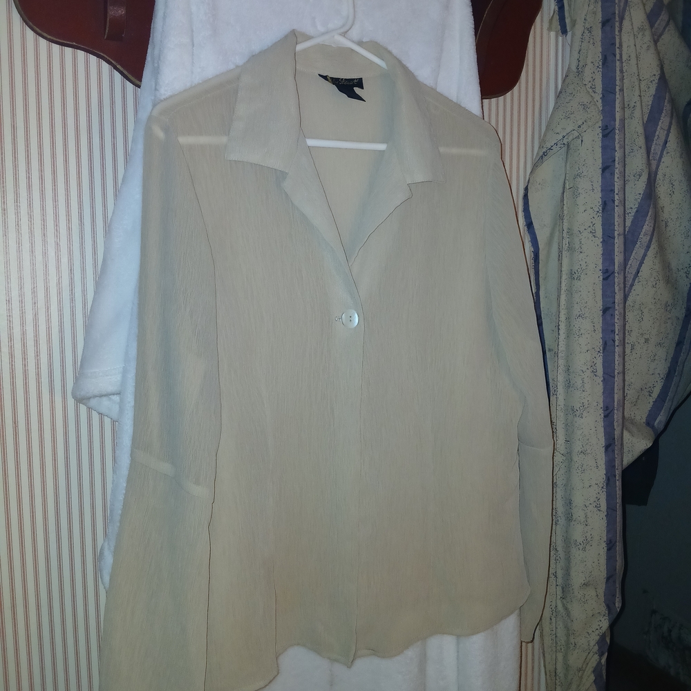 Ashley Stewart Cream Button Down Shirt